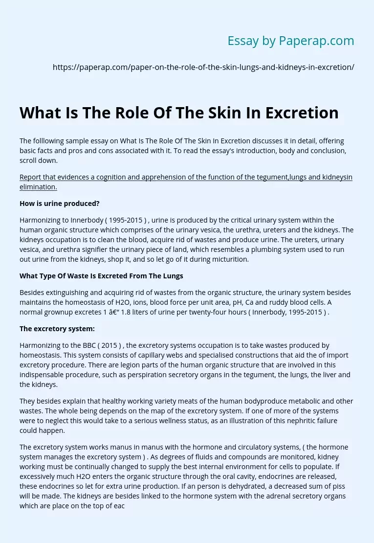 What Is The Role Of The Skin In Excretion