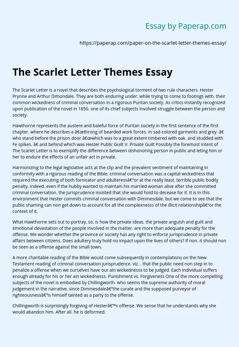The Scarlet Letter Themes Essay
