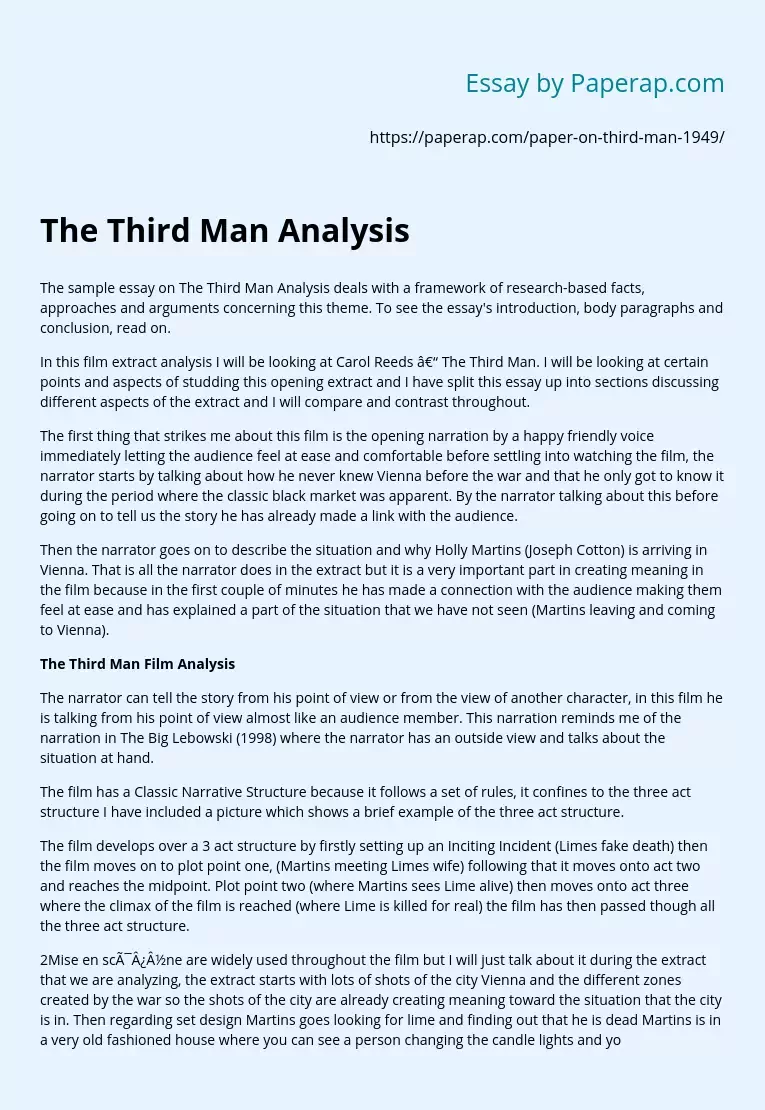 Sample Essay on the Third Man Analysis
