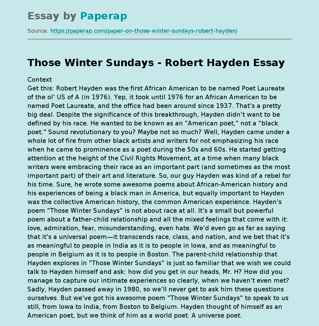 Those Winter Sundays - Robert Hayden