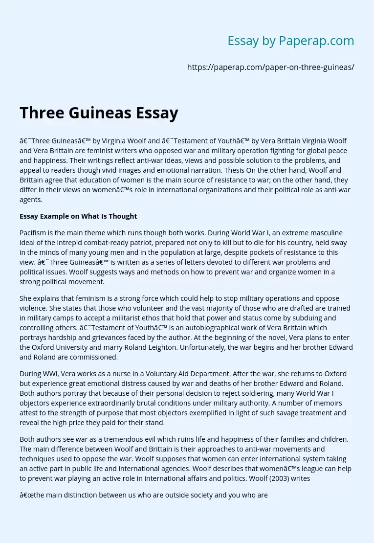 Three Guineas Essay