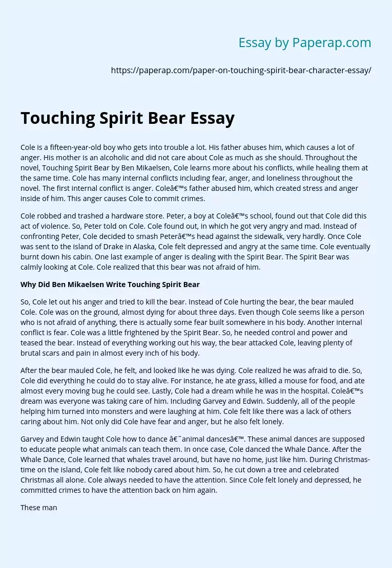 Touching Spirit Bear Essay