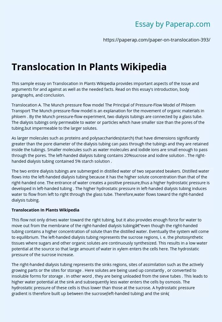 Translocation In Plants Wikipedia