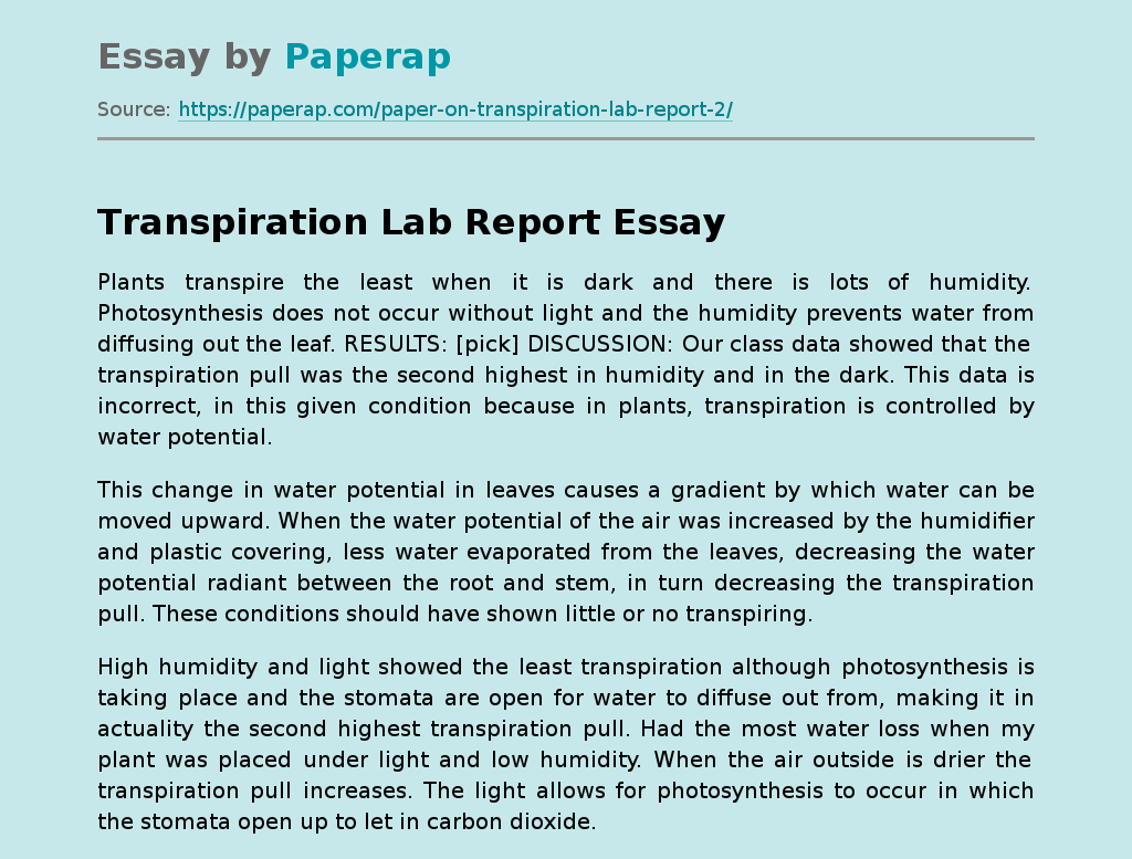 Transpiration Lab Report