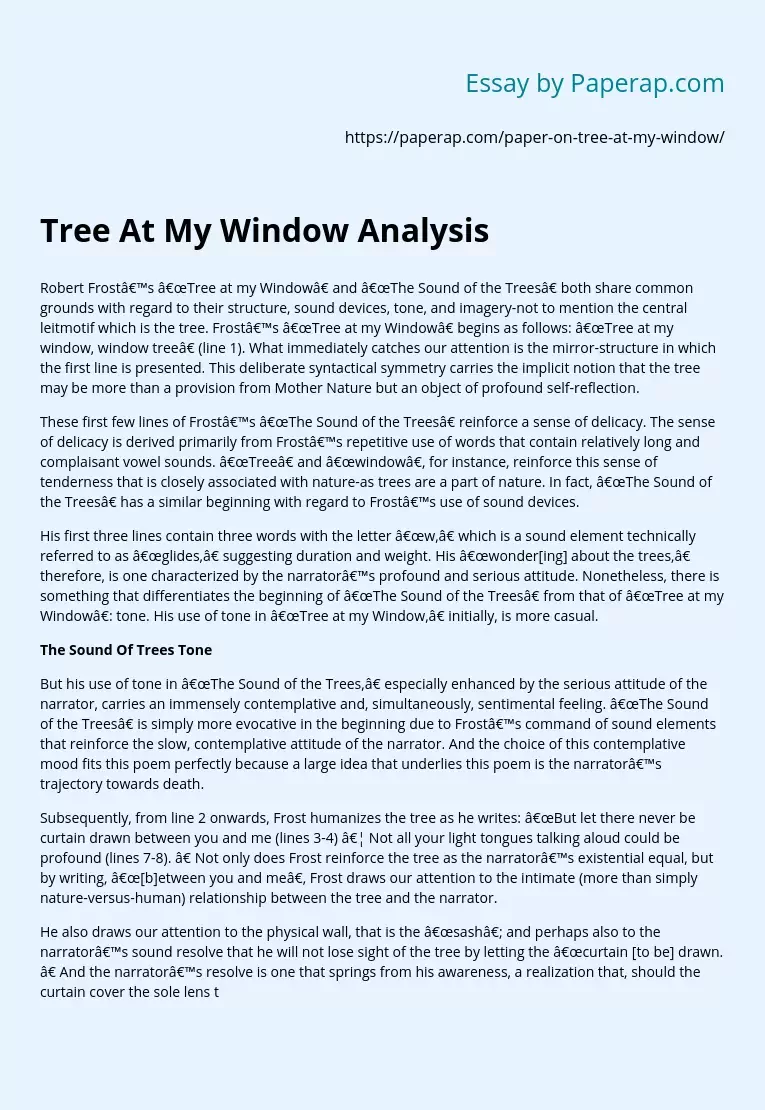 Tree At My Window Analysis