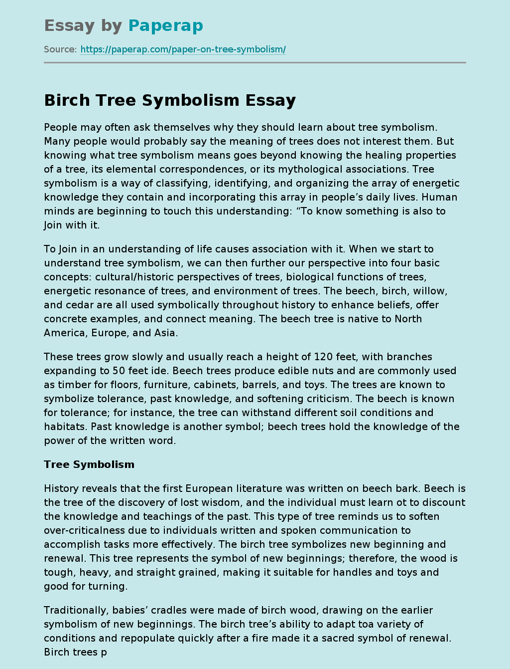 Birch Tree Symbolism