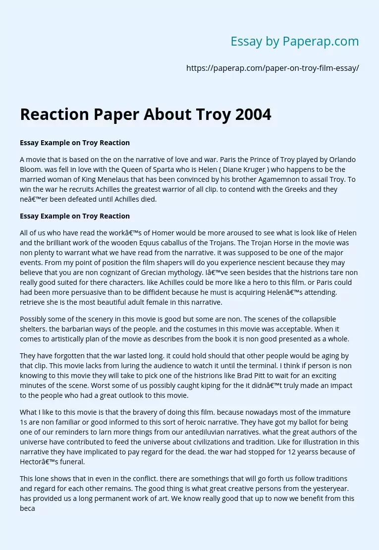 Essay About Troy 2004