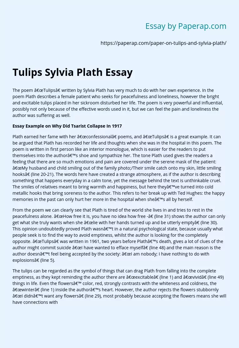 Tulips Sylvia Plath Essay