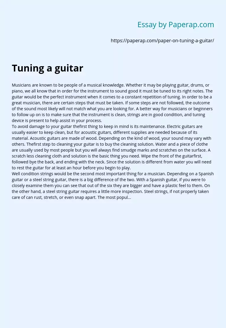 1000 word essay on guitar