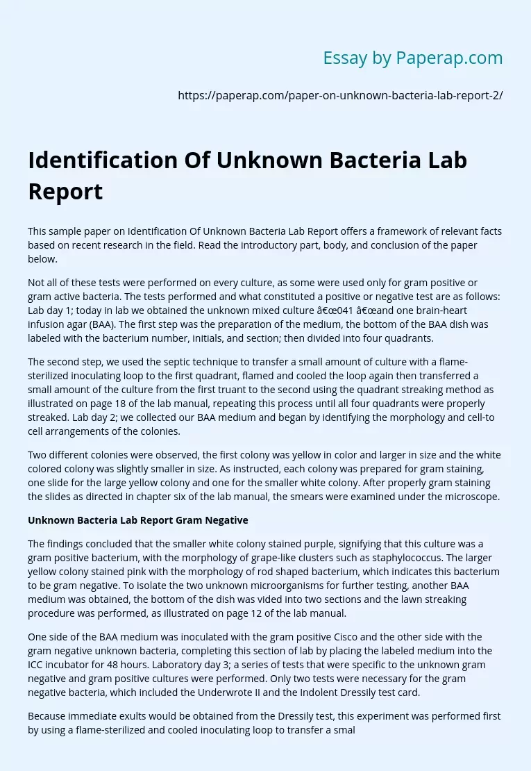 example of unknown bacteria lab report