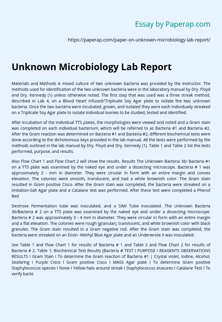 Unknown Microbiology Lab Report