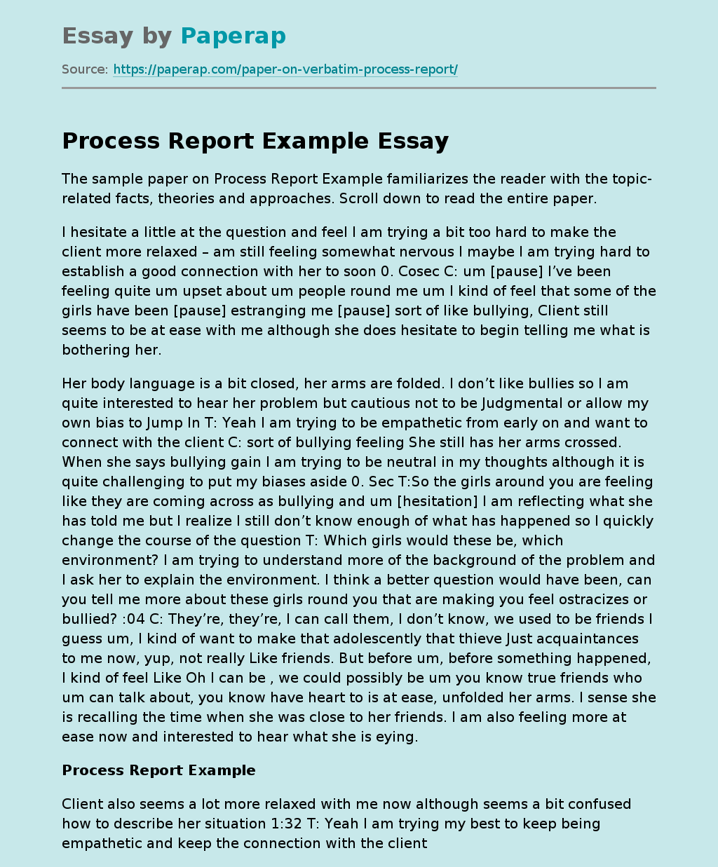 Process Report Example