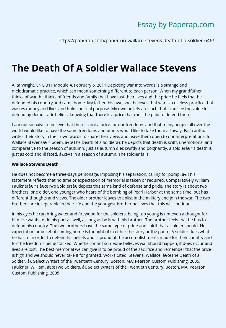 The Death Of A Soldier Wallace Stevens
