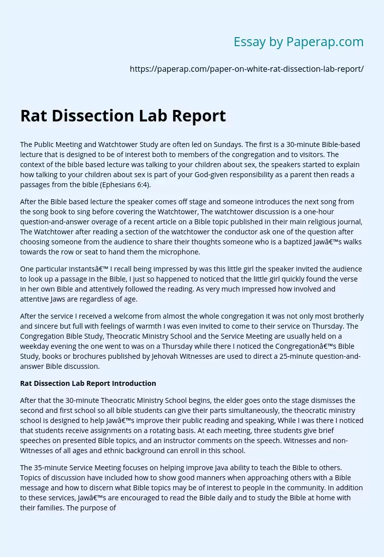 Rat Dissection Lab Report
