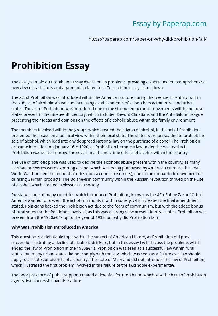 Prohibition Essay