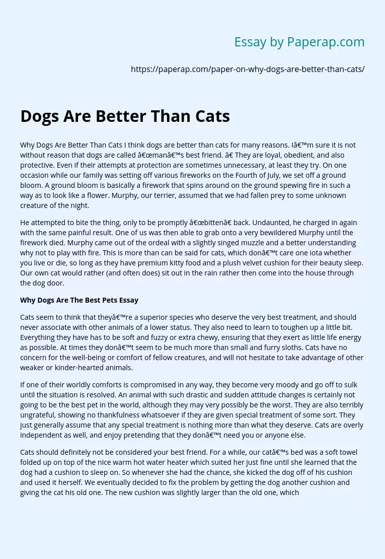 Dogs Are Better Than Cats