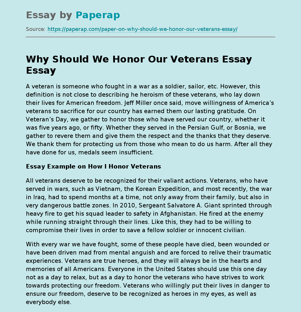 how to help veterans essay