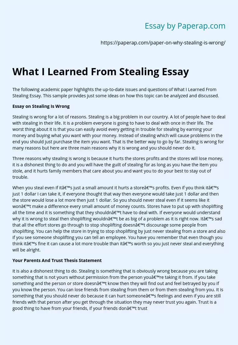 What I Learned From Stealing Essay