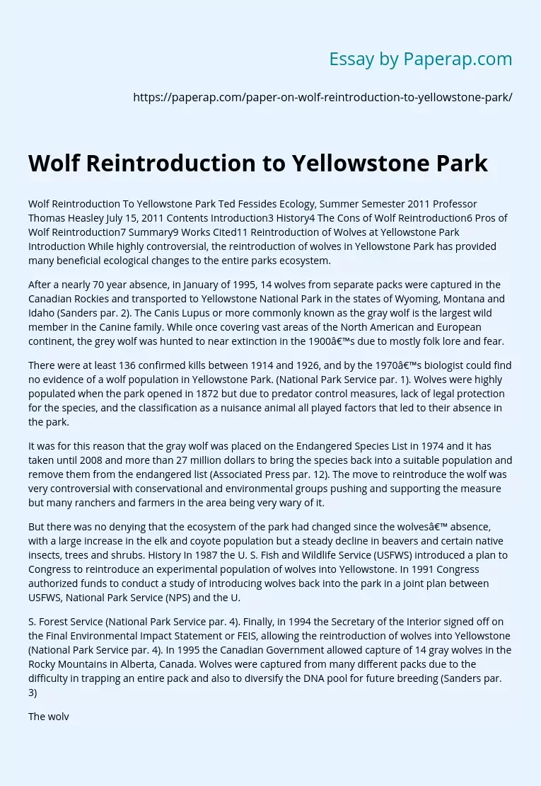 Wolf Reintroduction to Yellowstone Park Free Essay Example