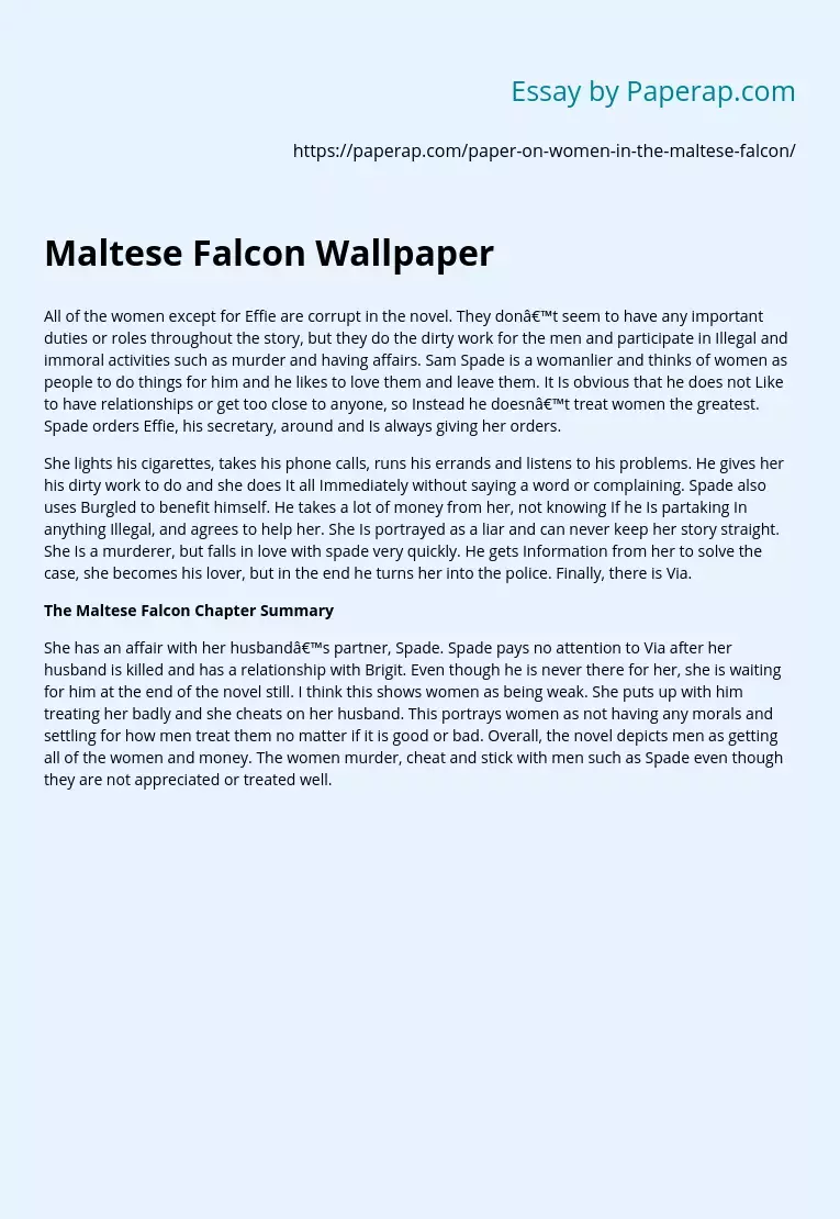 Реферат: Maltese Falcon Essay Research Paper The Portrayal