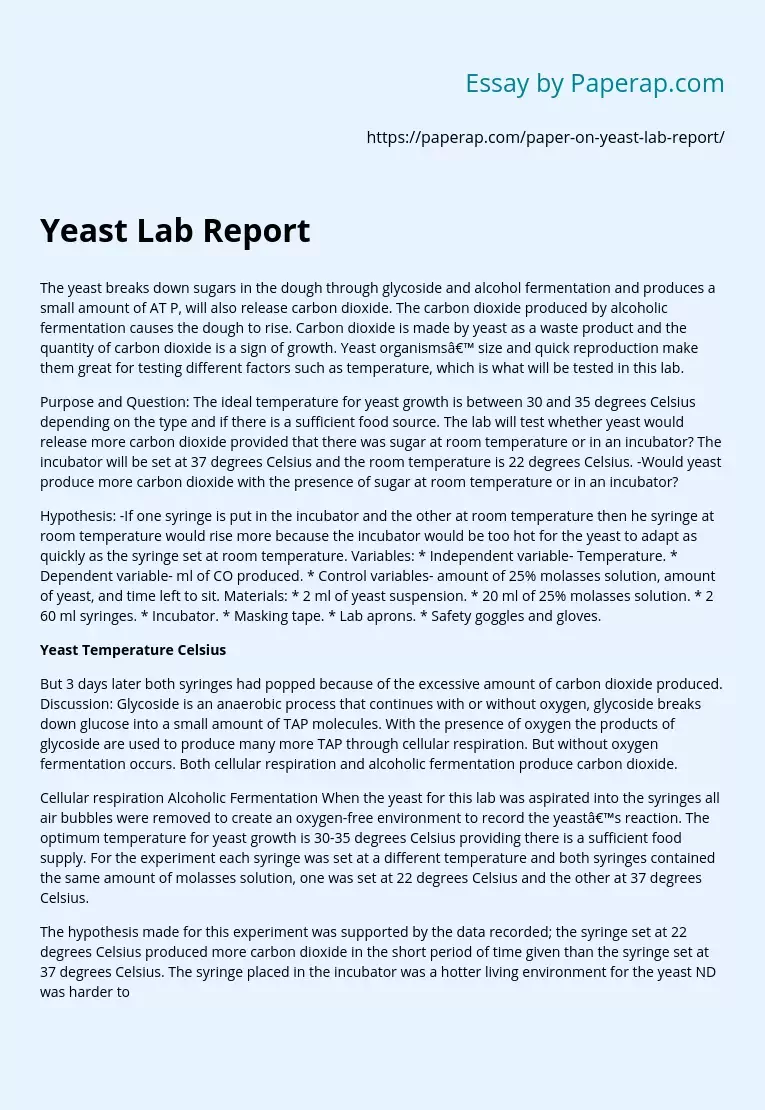 Yeast Lab Report