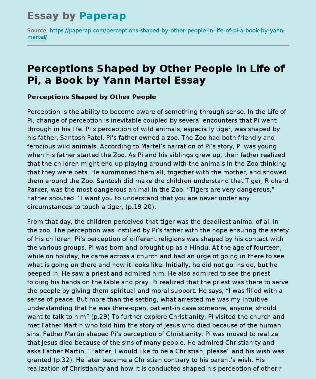 Perceptions Shaped by Other People in Life of Pi, a Book by Yann Martel