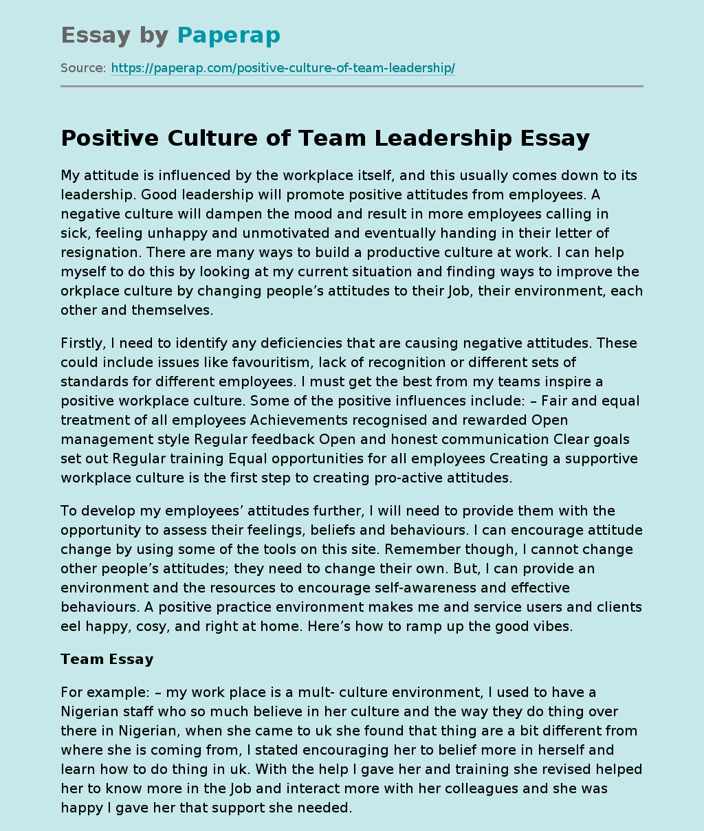 Positive Culture of Team Leadership