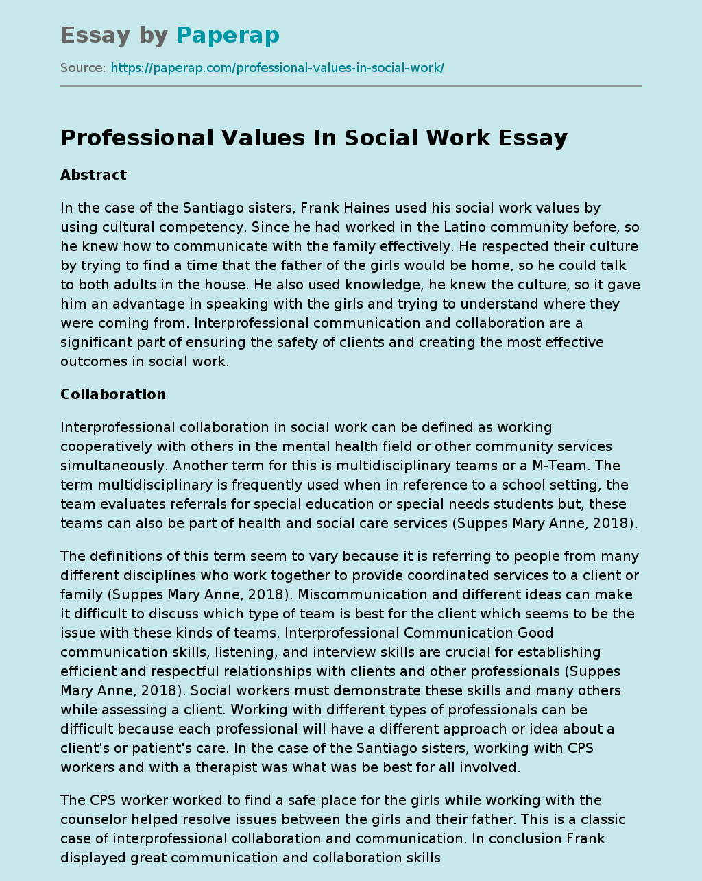 personal and professional values in social work essay