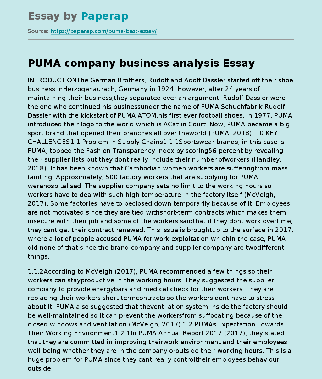 Puma Company Business Analysis