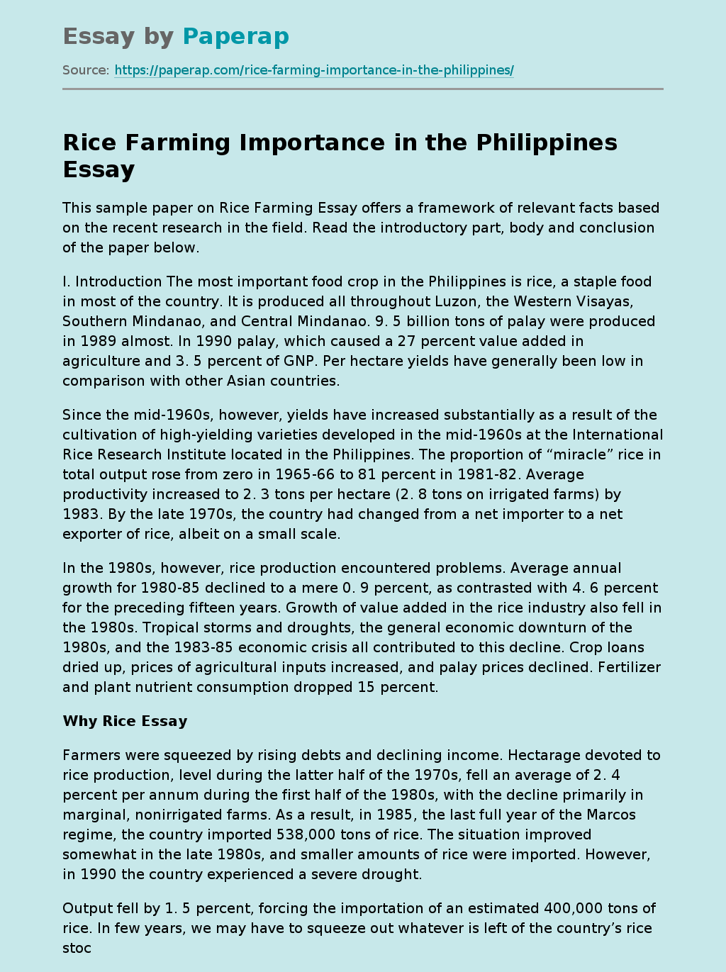 Rice Farming Importance in the Philippines