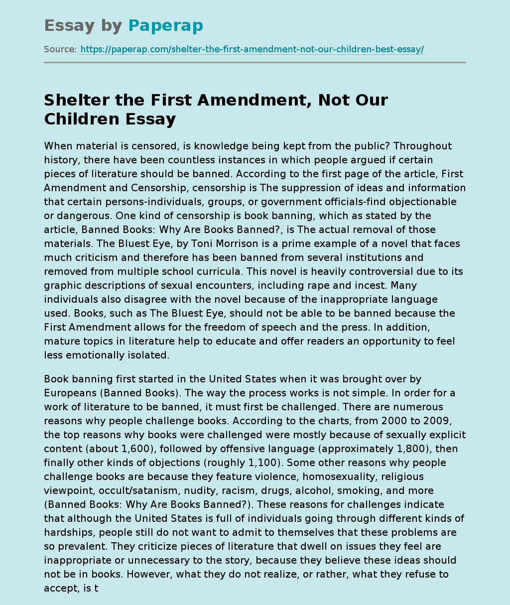 Shelter the First Amendment, Not Our Children