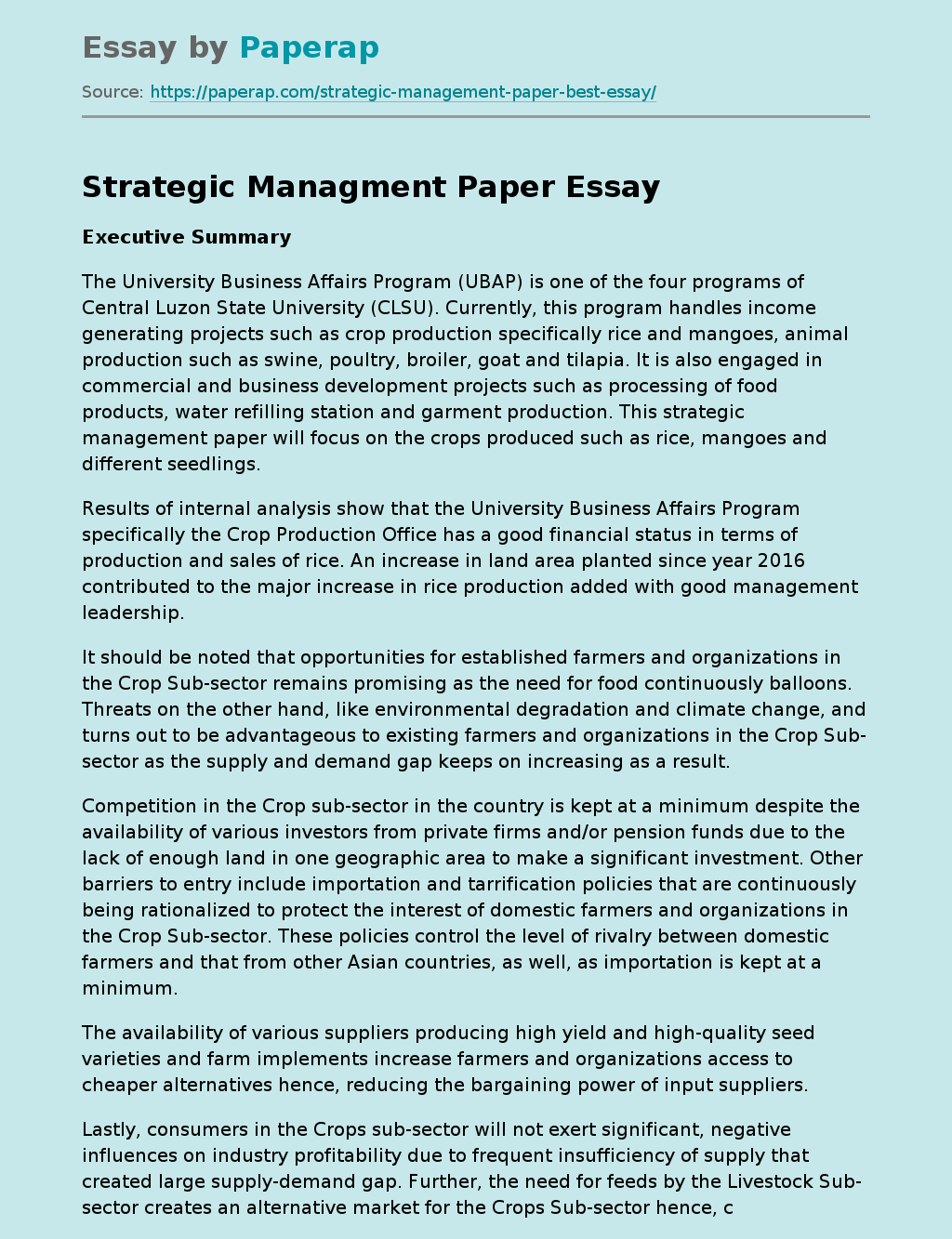 Strategic Managment Paper