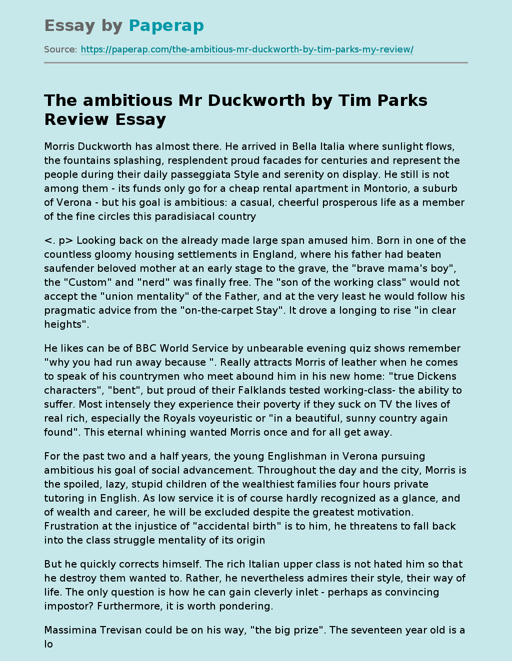 The Ambitious Mr Duckworth by Tim Parks Review