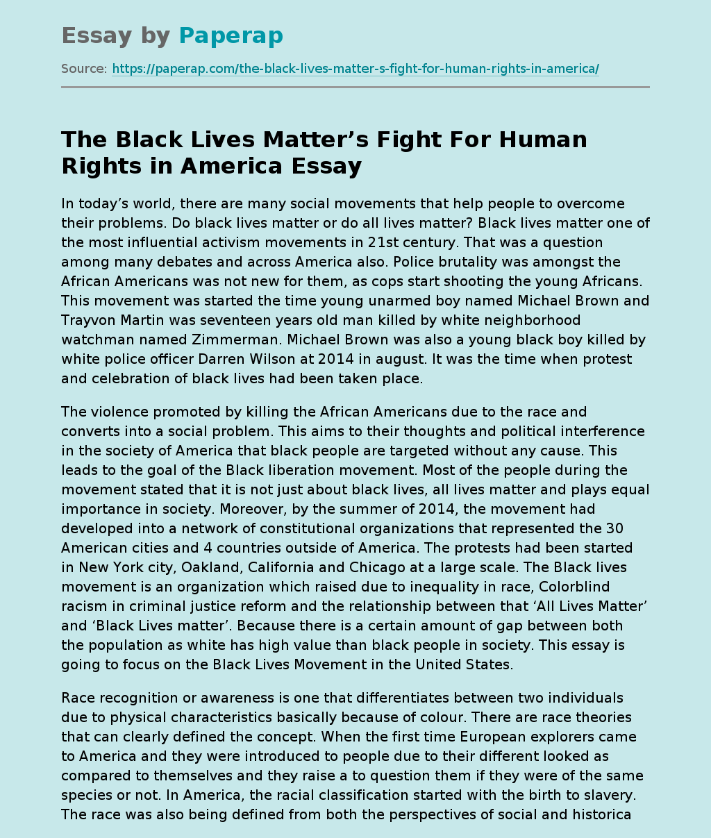 The Black Lives Matter’s Fight For Human Rights in America