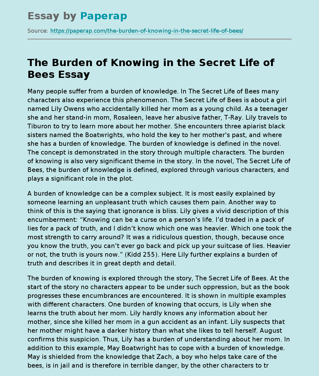 The Burden of Knowing in the Secret Life of Bees