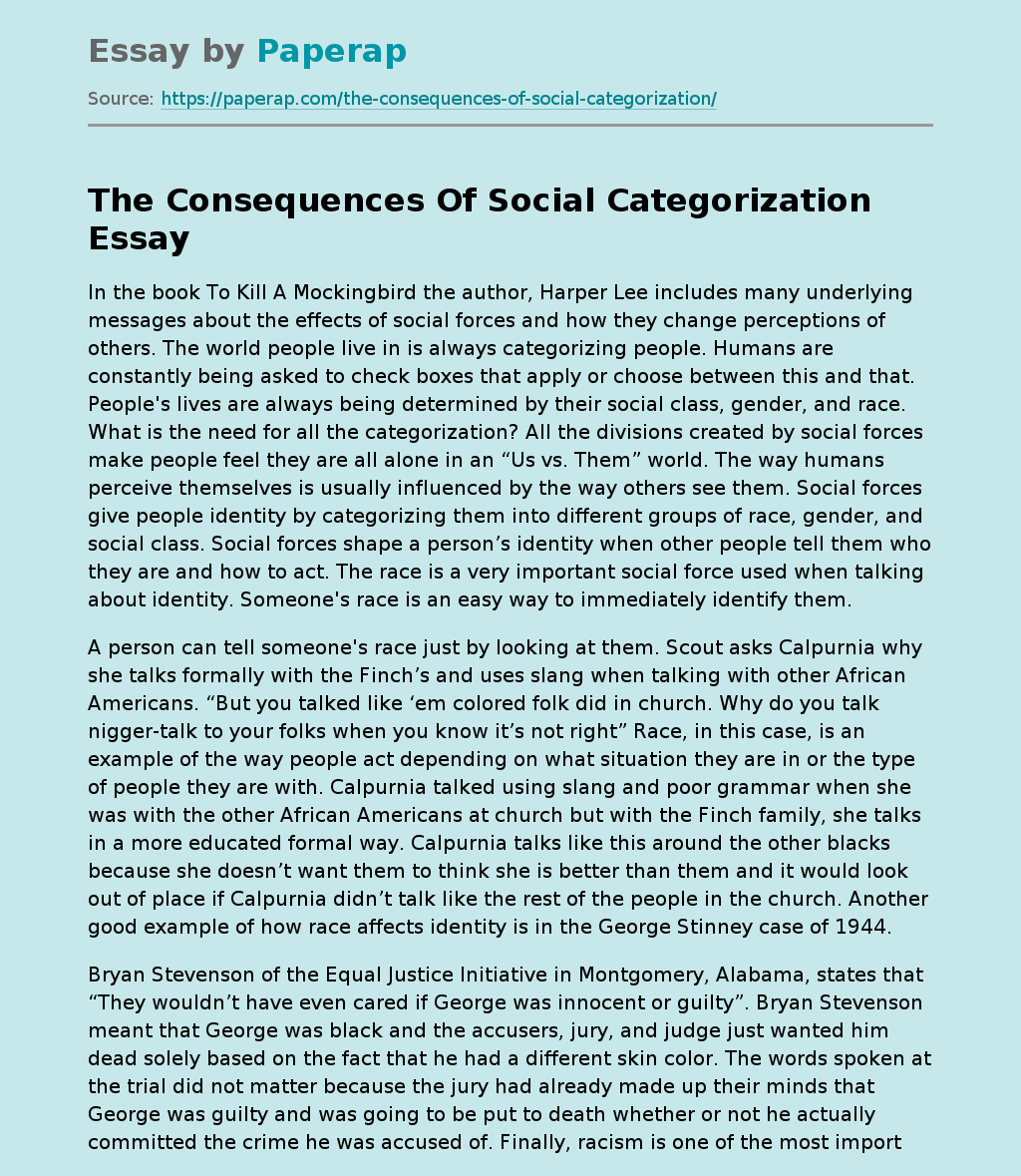 The Consequences Of Social Categorization