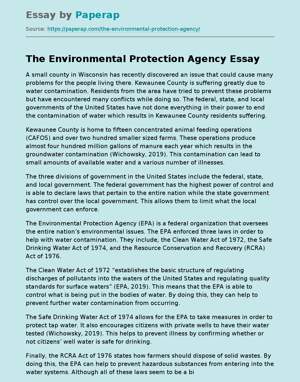 essay environmental protection