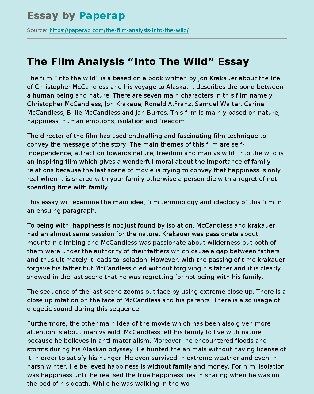 The Film Analysis “Into The Wild”