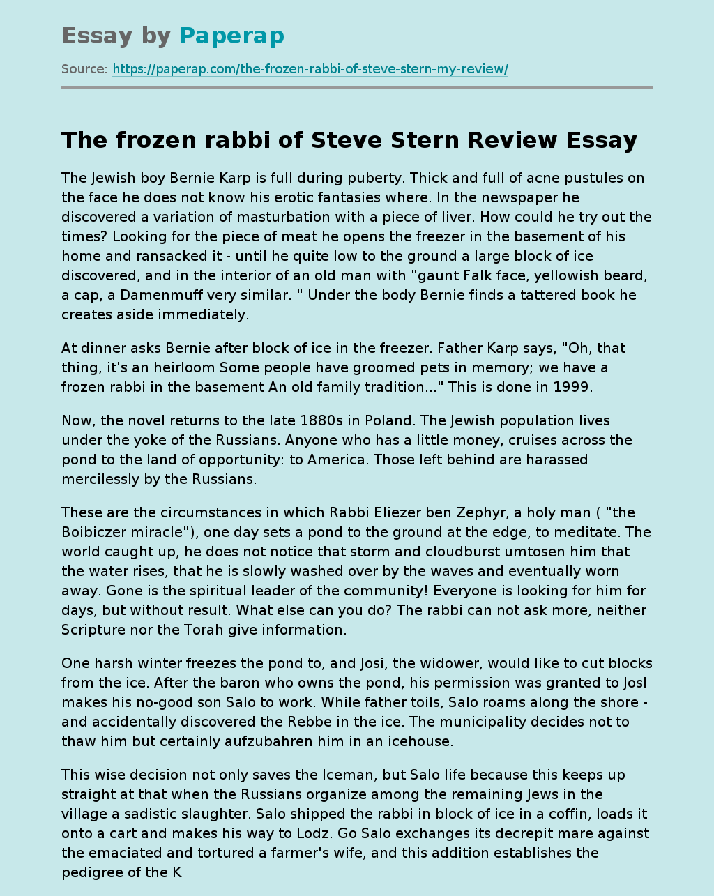 The frozen rabbi of Steve Stern Review
