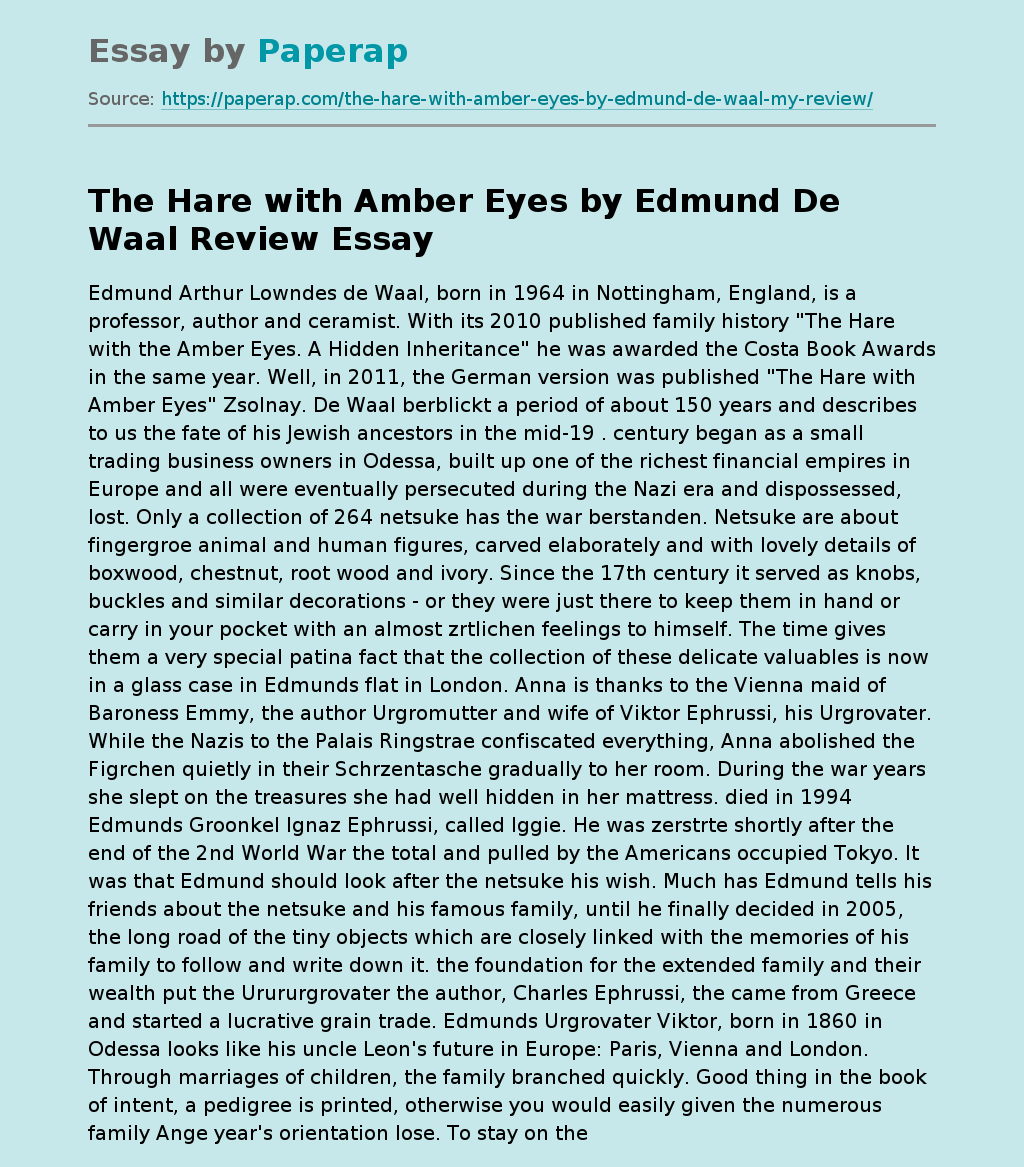 The Hare with Amber Eyes by Edmund De Waal Review