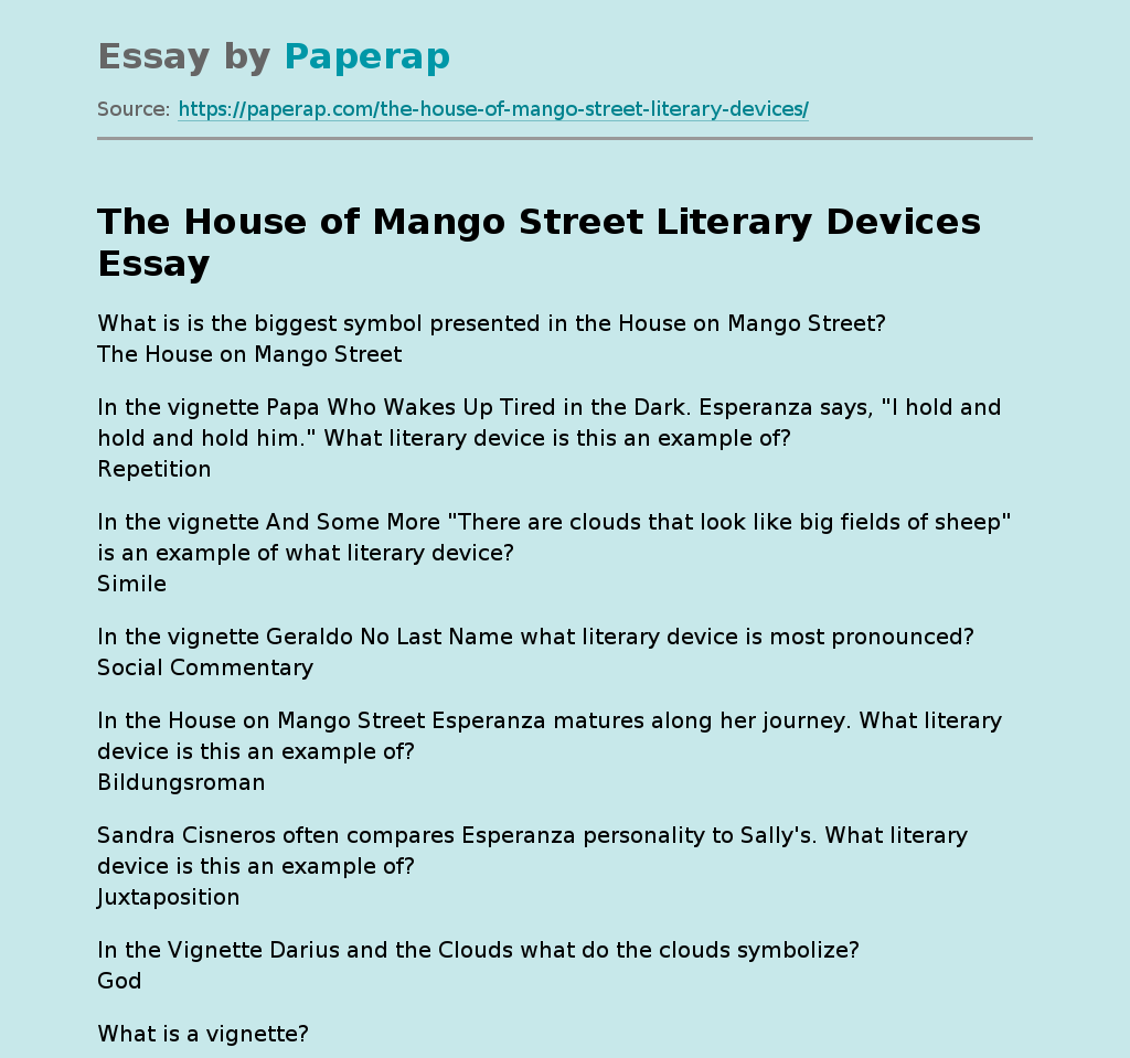 The House of Mango Street Literary Devices
