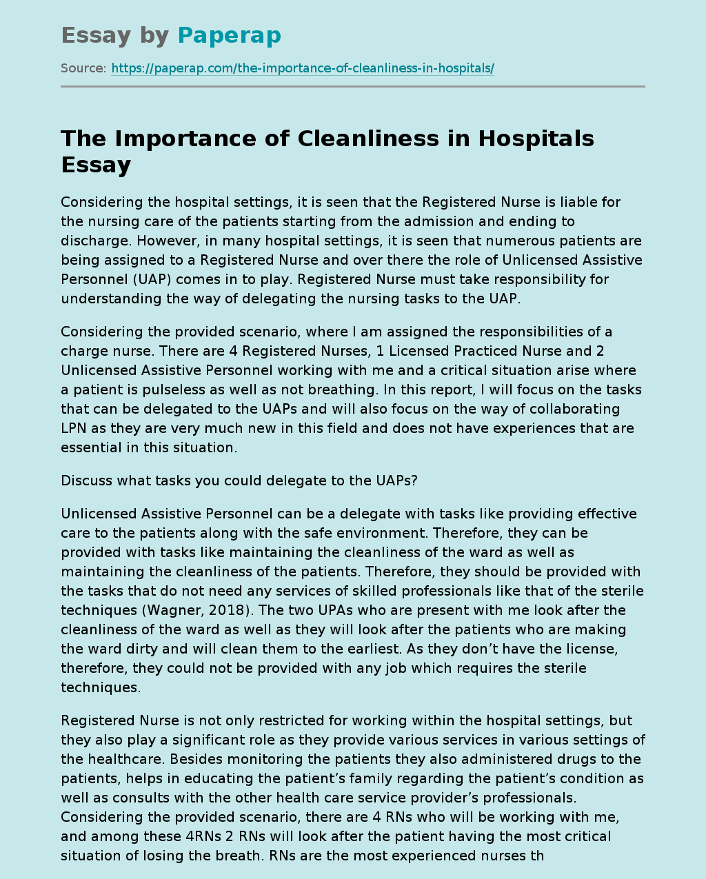 The Importance Of Cleanliness In Hospitals Free Essay Example