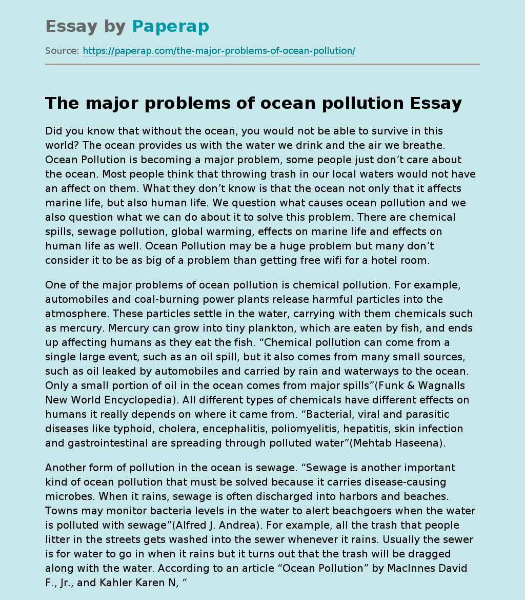 ocean pollution essay hook
