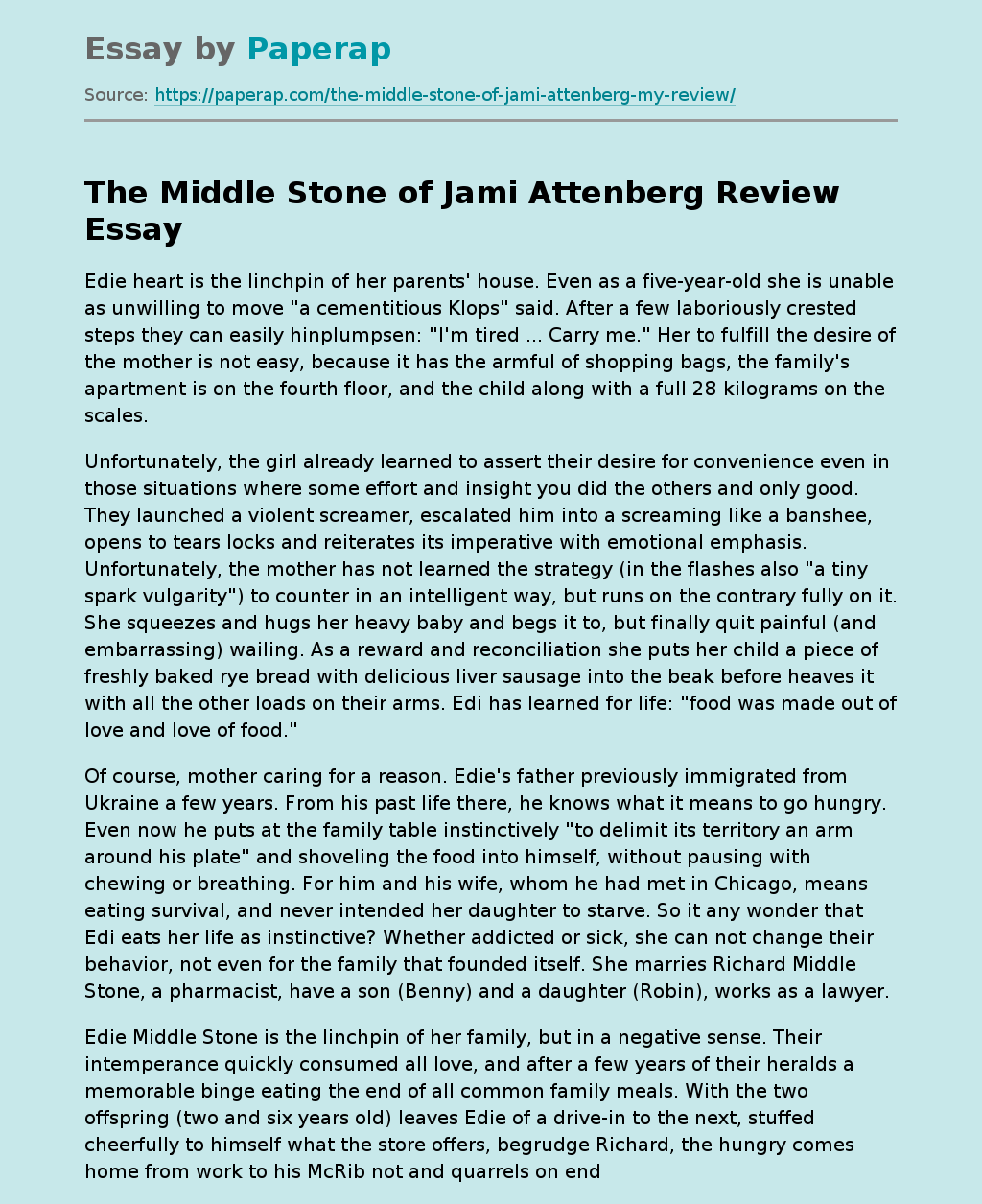 The Middle Stone of Jami Attenberg Review