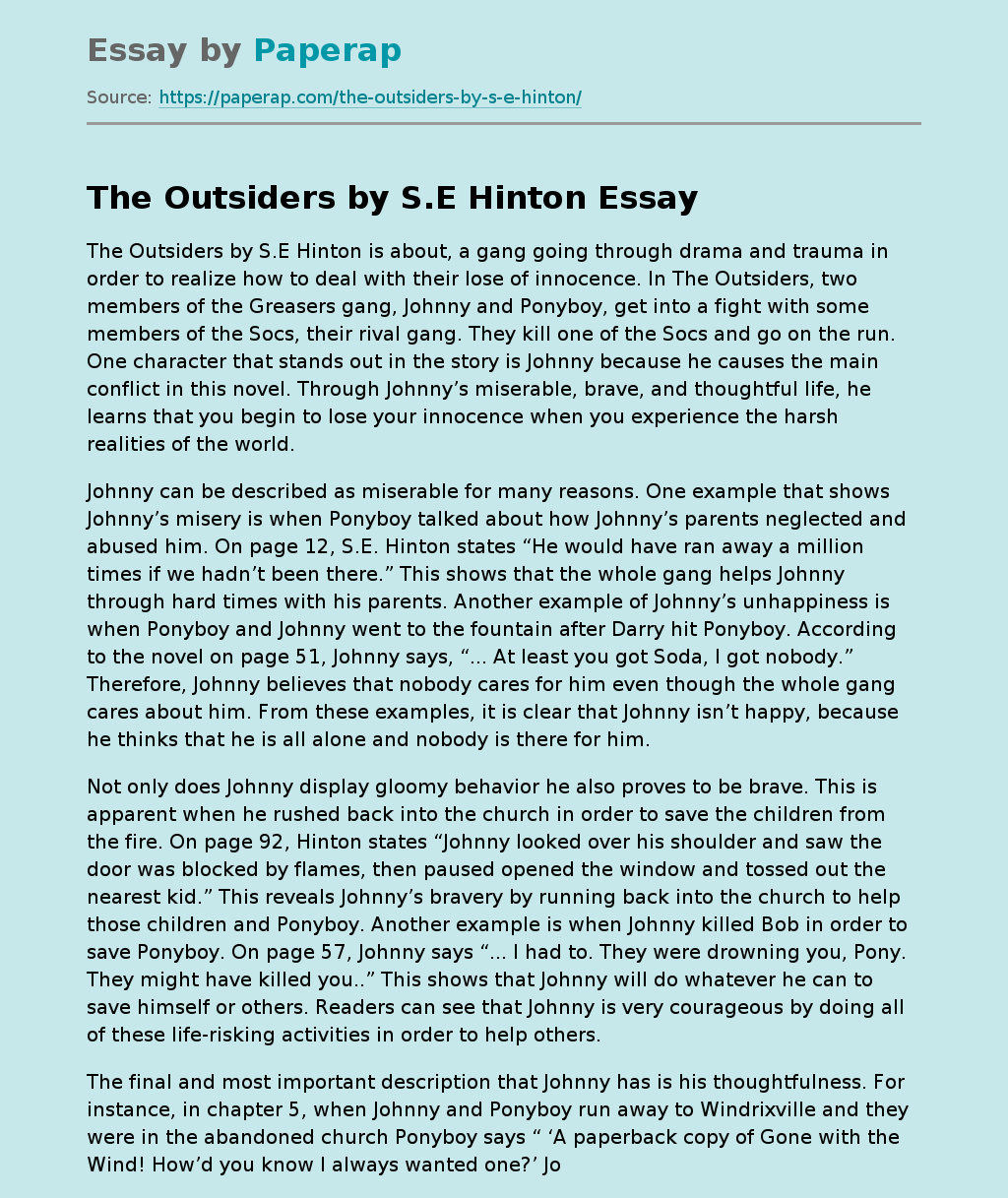 The Outsiders by S.E Hinton