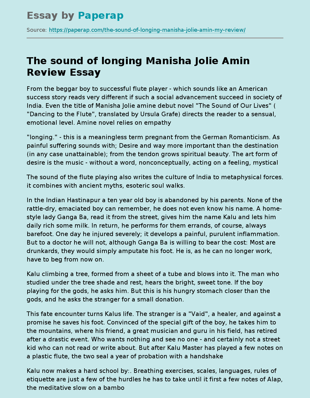 The sound of longing Manisha Jolie Amin Review