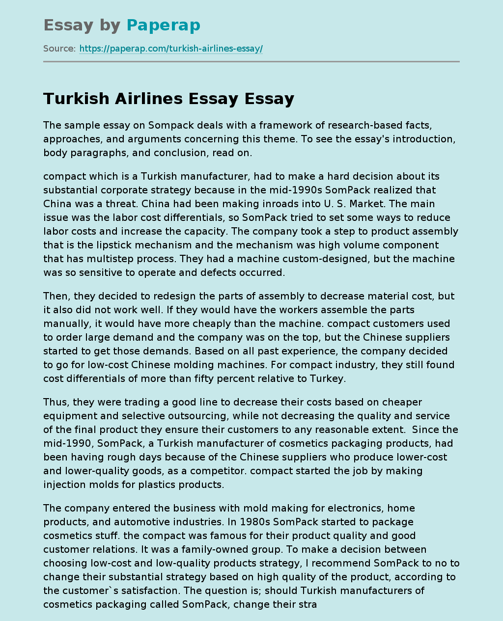 Turkish Airlines Essay