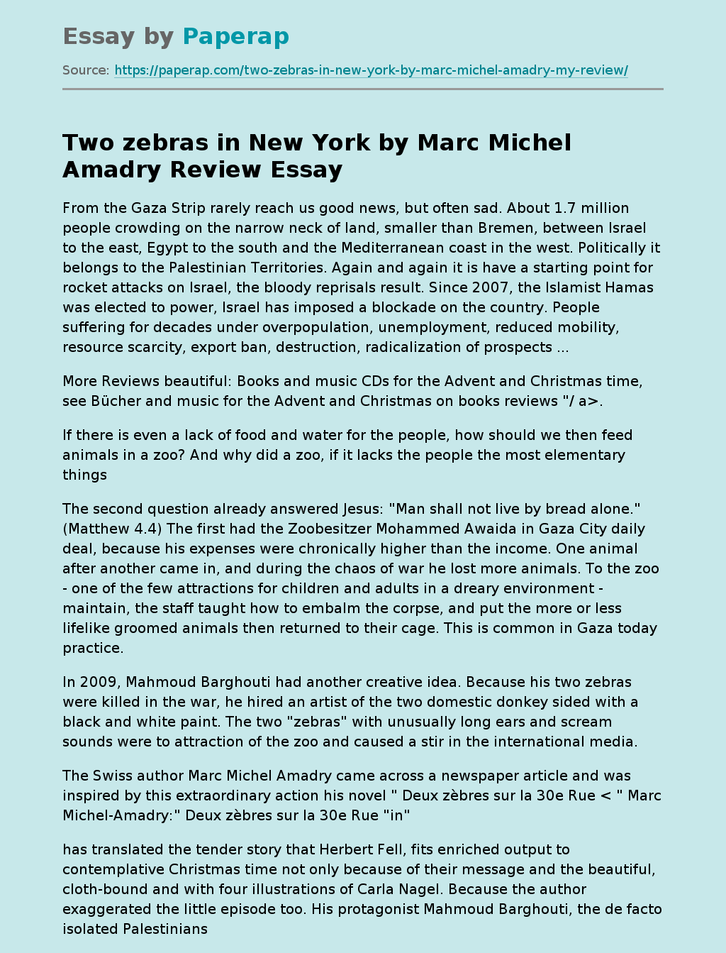 Two zebras in New York by Marc Michel Amadry Review