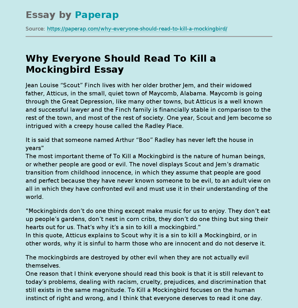 Why Everyone Should Read To Kill a Mockingbird Free Essay Example